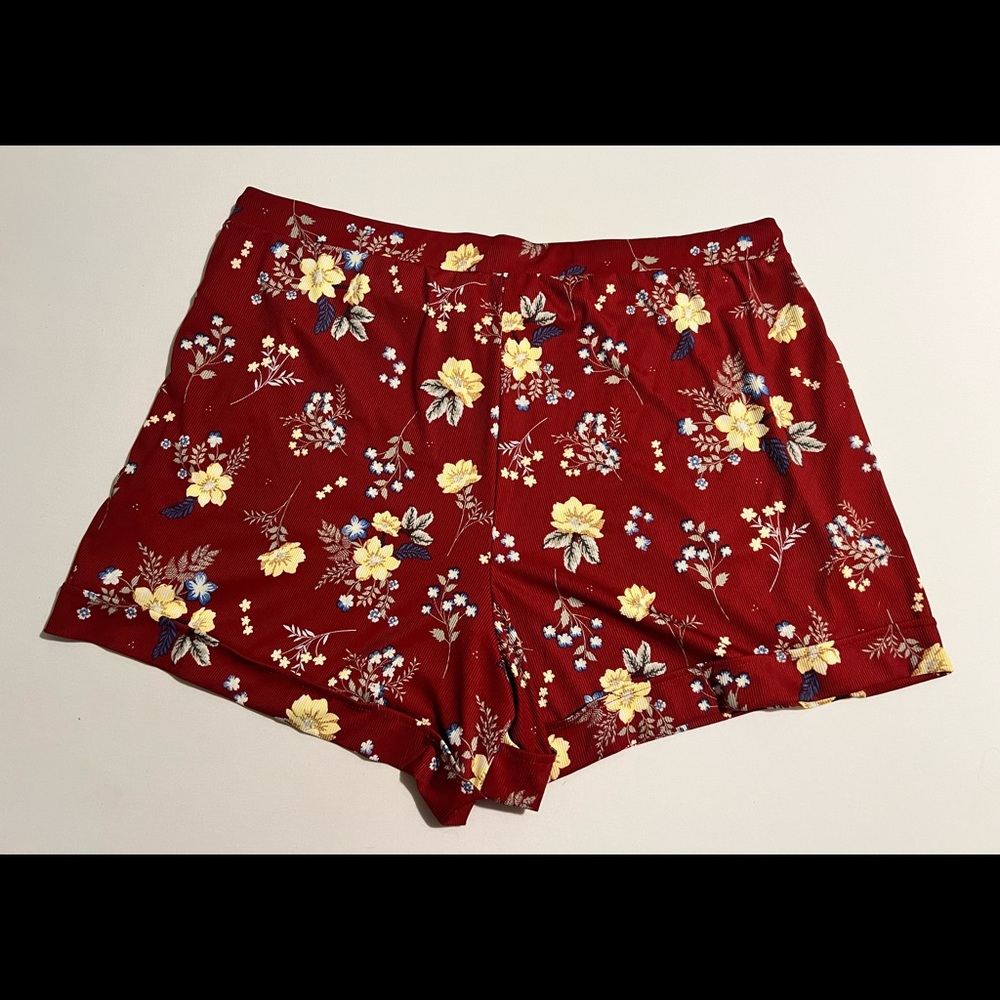 Women’s 2X Lularoe Jessica Shorts